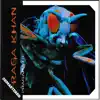 Pragamatic (Remastered) album lyrics, reviews, download