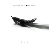 Luz artwork