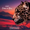 Come On Now - Single