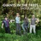 Sasquatch - Giants In The Trees lyrics