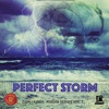 Perfect Storm
