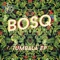 Because You (feat. Danielle Moore) - Bosq lyrics