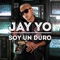Conejita de Playboy - Jay Yo lyrics