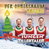 Der Christbaum brennt (Heiteres und Besinnliches zur Weihnachtszeit) - EP - Die jungen Zillertaler