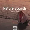 Stream & download Nature Sounds Collection - Relaxation & Meditation Music for Sleep, Relax, Study, Find Peace