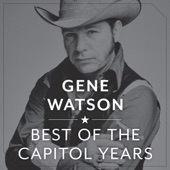 The Best of the Capitol Years artwork