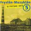 Fryslan Muzyklan 5