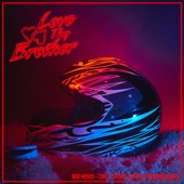 Like It or Not (Love Thy Brother Remix) artwork