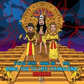 Bring You to Life (Transcend)[feat. RAS] [Garmiani Remix] artwork