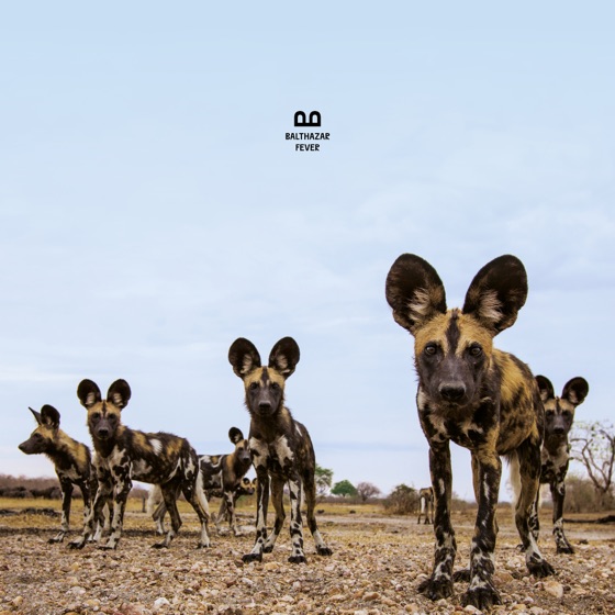 Cover artwork for Wrong Faces