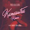 Stream & download Kamasutra (Remix) [feat. Farruko & Zion & Lennox] - Single