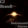 C.J. Brandt - 1st Concerto in E Flat Major for Oboe