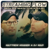 Streaming Flow: Ibiza 2018 Beach Club Playlist artwork