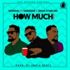 How Much (Remix) [feat. Sarkodie & Omar Sterling] - Single