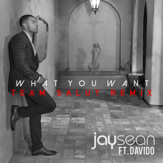 Cover artwork for What You Want (feat. Team Salut)
