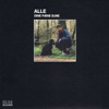 Alle - Noget i Øjet