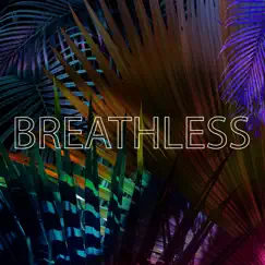 Breathless - Single by Sonny C album reviews, ratings, credits