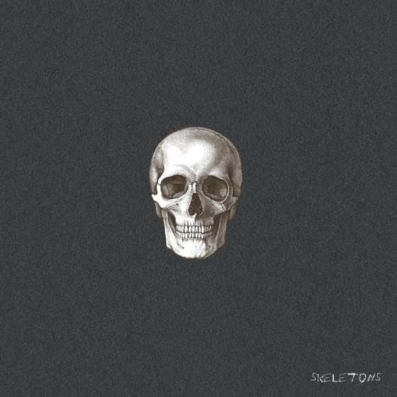 Cover artwork for Skeletons