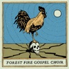 Forest Fire Gospel Choir - EP