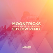Mountains (Shylow Remix) - Single