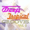 Deep & Tropical Grooves, Vol. 2