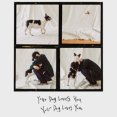 Your Dog Loves You (feat. Crush) artwork