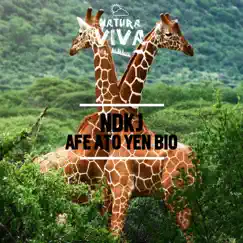 Afe Ato Yen Bio - Single by NDKj album reviews, ratings, credits