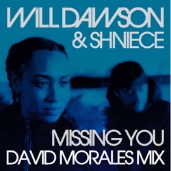 Will Dawson - Missing You (feat. Shniece)