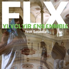 Flx (feat. Souldia) - Single