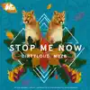 Stream & download Stop Me Now (Extended) - Single