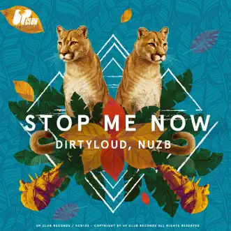 Stop Me Now (Extended) - Single by Dirtyloud & NUZB album reviews, ratings, credits