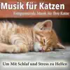 Musik Für Katzen: Entspannende Musik Für Ihre Katze - Um Mit Schlaf Und Stress Zu Helfen album lyrics, reviews, download