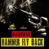 Stream & download Hammer Fly Back - Single