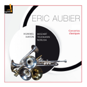 Concerto pour trompette in D Major: I. Adagio - Orchestre National de Bretagne, Vincent Barthe & Eric Aubier