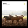 Tosca - Elitsa