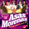 Asas Morenas, Vol. 14, 2011
