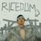 RiceDum - Bart Baker lyrics
