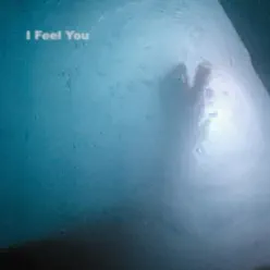 I Feel You - Single - Kaskade I Feel You - Single - Kaskade