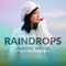 Raindrops (Silverstrike Remix) artwork