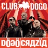Dogocrazia, 2009