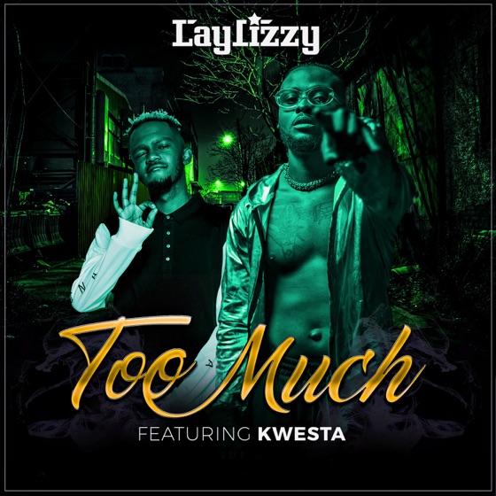 Cover artwork for Too Much (feat. Kwesta)
