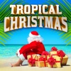 Tropical Christmas, 2018