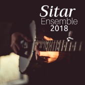 Sitar Ensemble 2018 - Relaxing Indian Music artwork