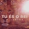 Tu És o Rei - Single, 2016