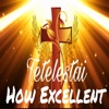 How Excellent - Single