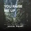You Raise Me Up - Single album lyrics, reviews, download