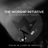 Psalm 46 (Lord of Hosts) [The Worship Initiative Accompaniment] - Single