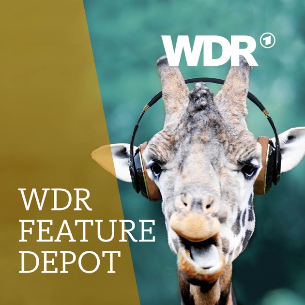 Wdr Feature Depot Wdr Feature Depot