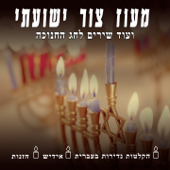 Maoz Tzur and Other Hanukkah Songs (Rare recordings in Hebrew, Yiddish & Cantorial) - Verschiedene Interpreten
