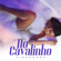 No Cavalinho - Vingadora